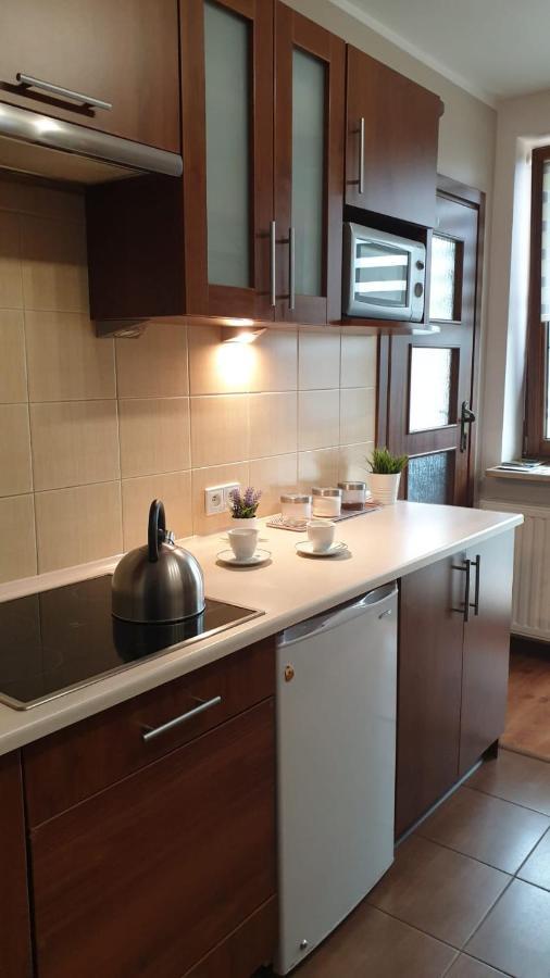 Kaizen Apartament Krynica Zdroj Eksteriør billede